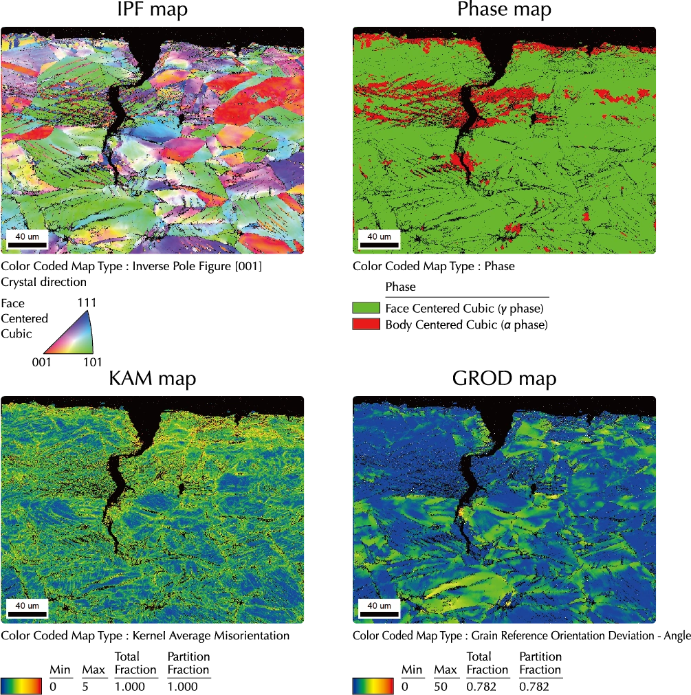 Representative Examples of EBSD Analysis Results